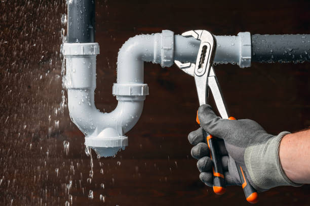 Professional Drain Cleaning technician working in Ridott, IL